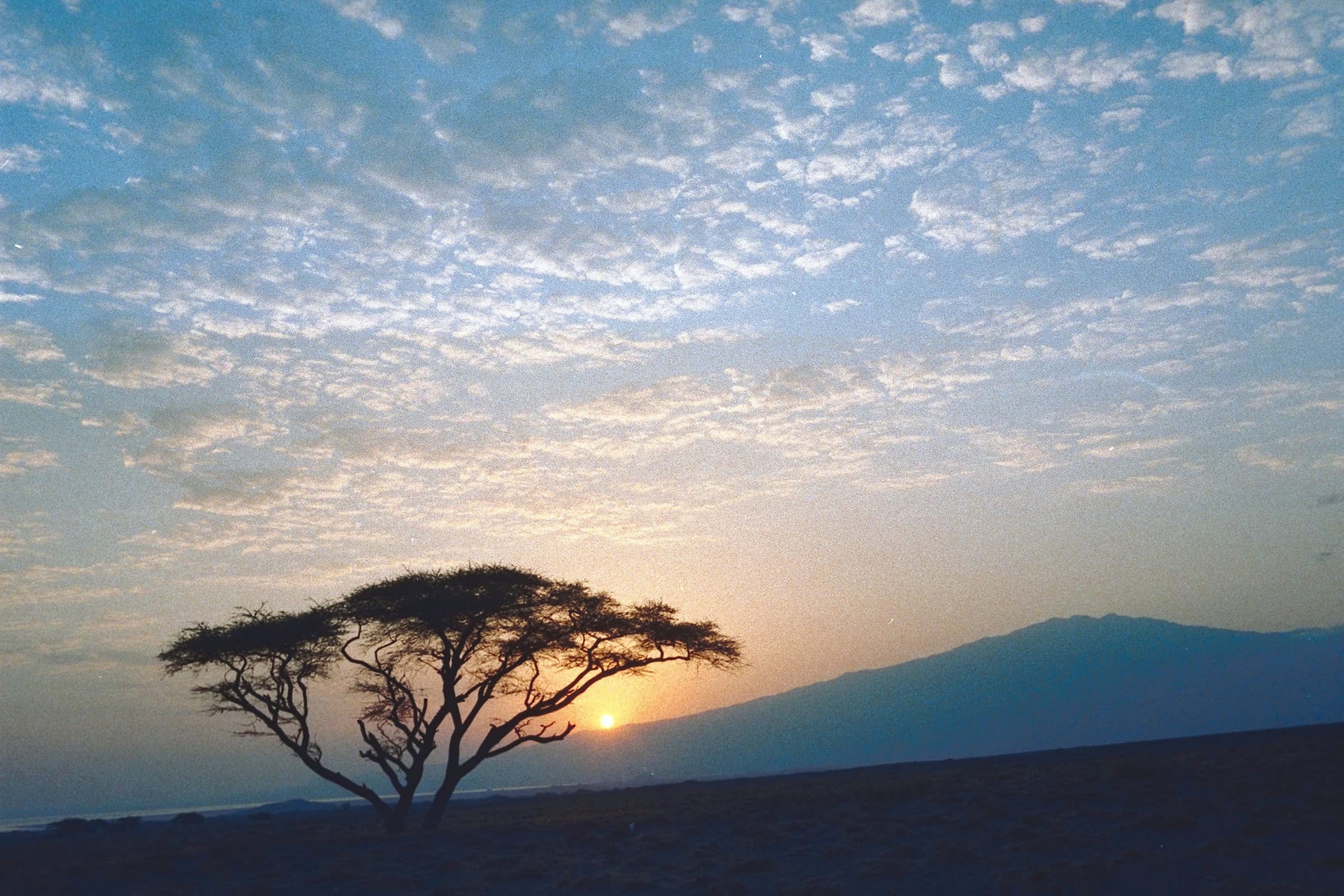 Courageous Desire (January 31)