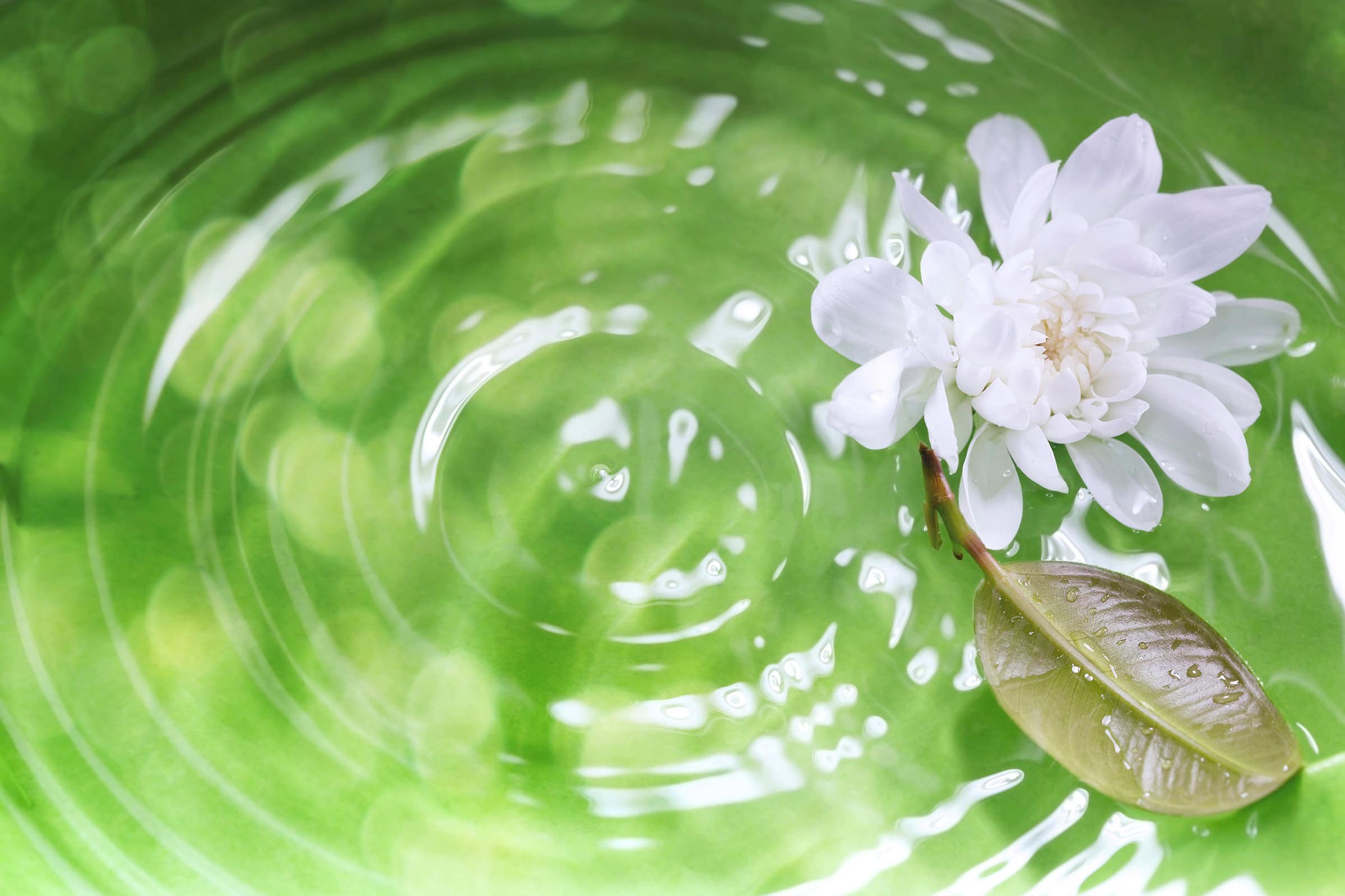 Tranquility (February 8)