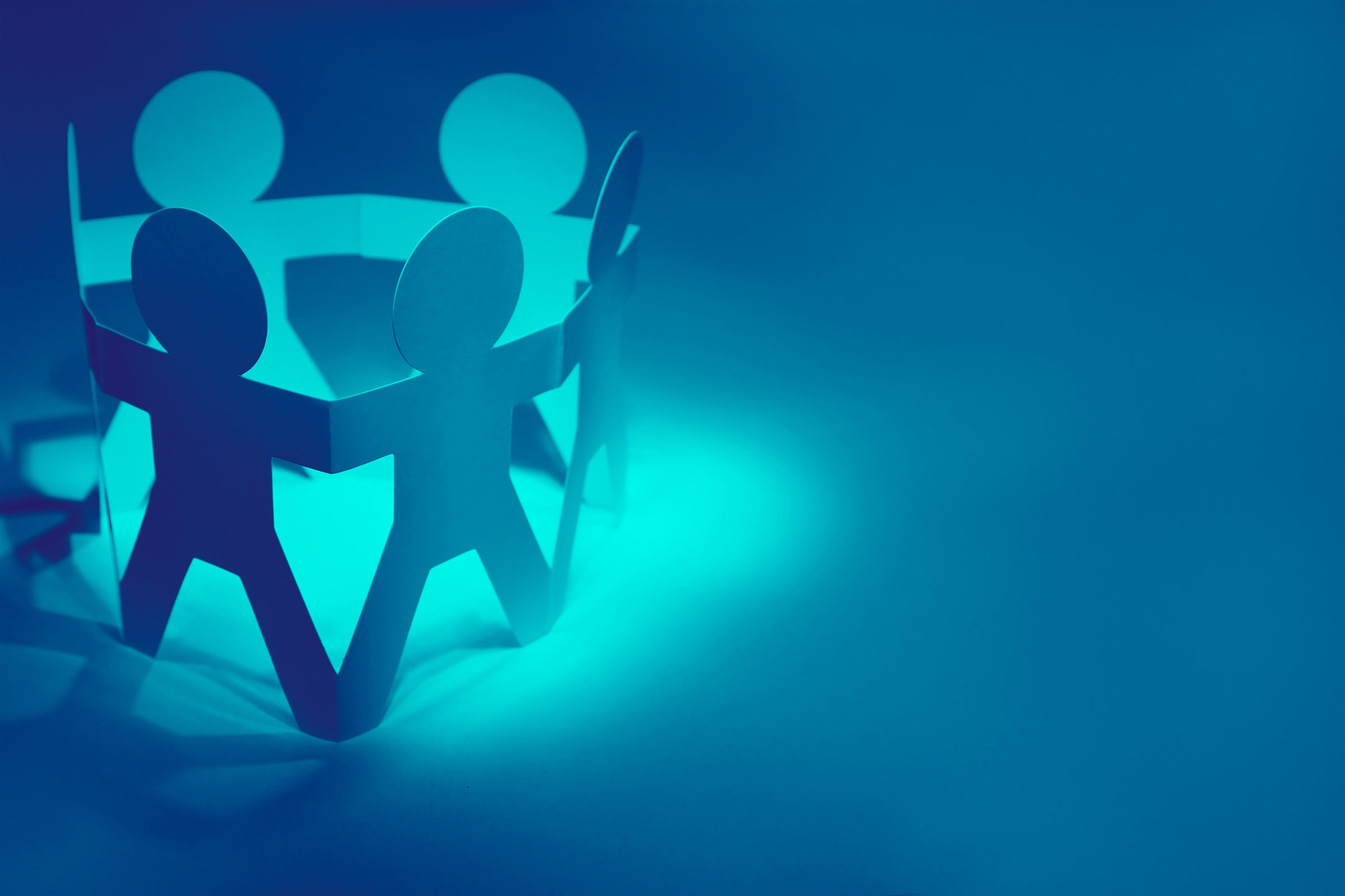 Participation (February 10)