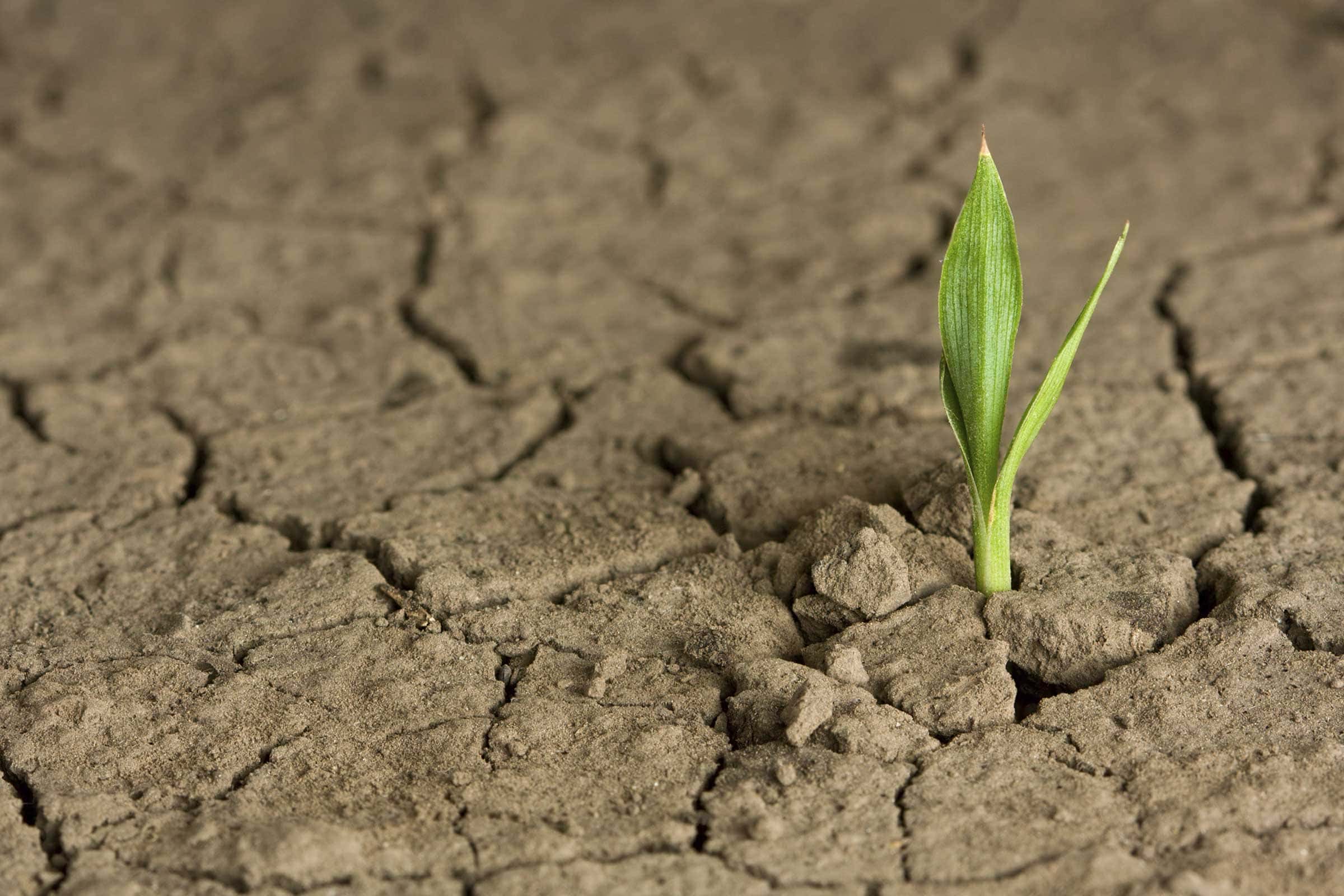 We Can Truly Change (February 23)