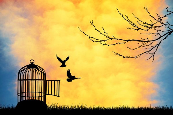 Love Lets Us Be Free (February 26)