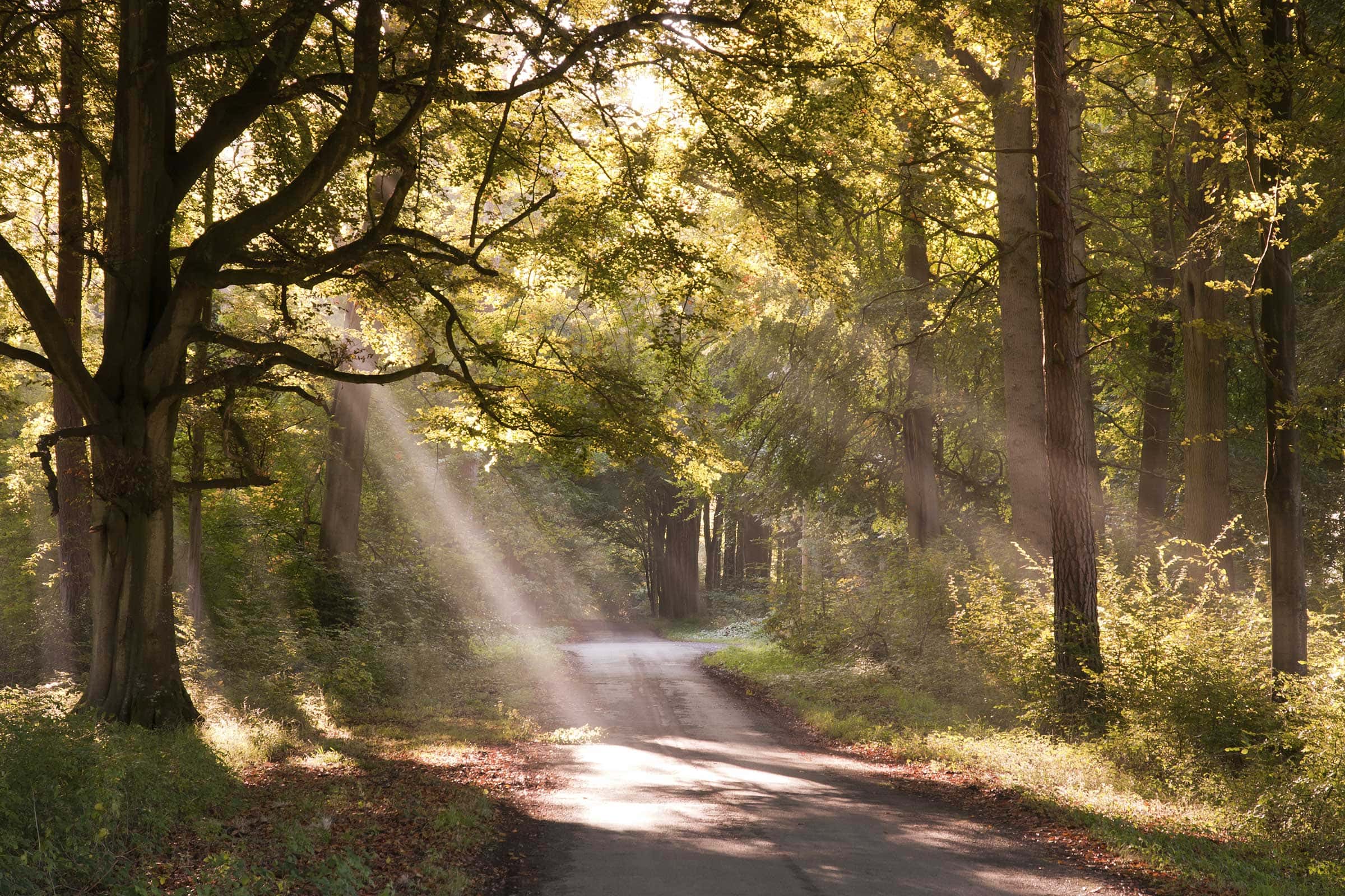 Light on the Road (March 7)