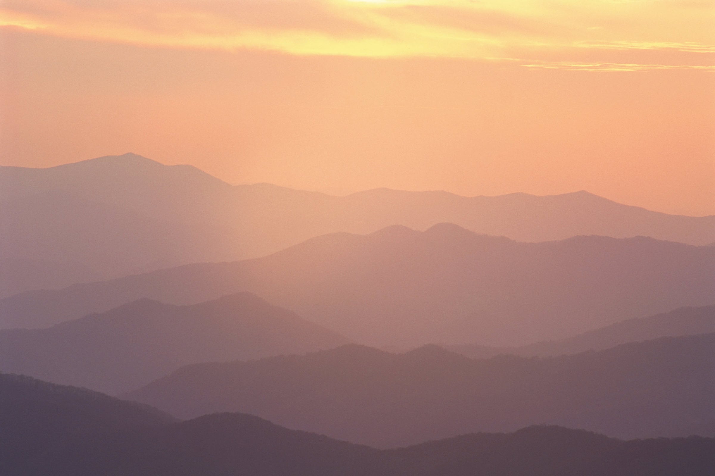 Quietness (March 18)