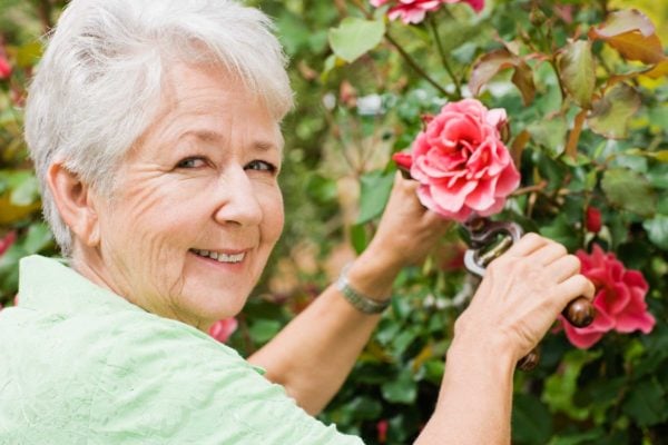 Appreciation (March 28)