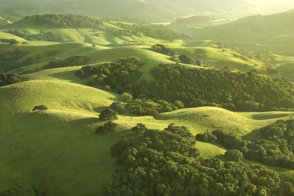 Peacefulness (April 3)