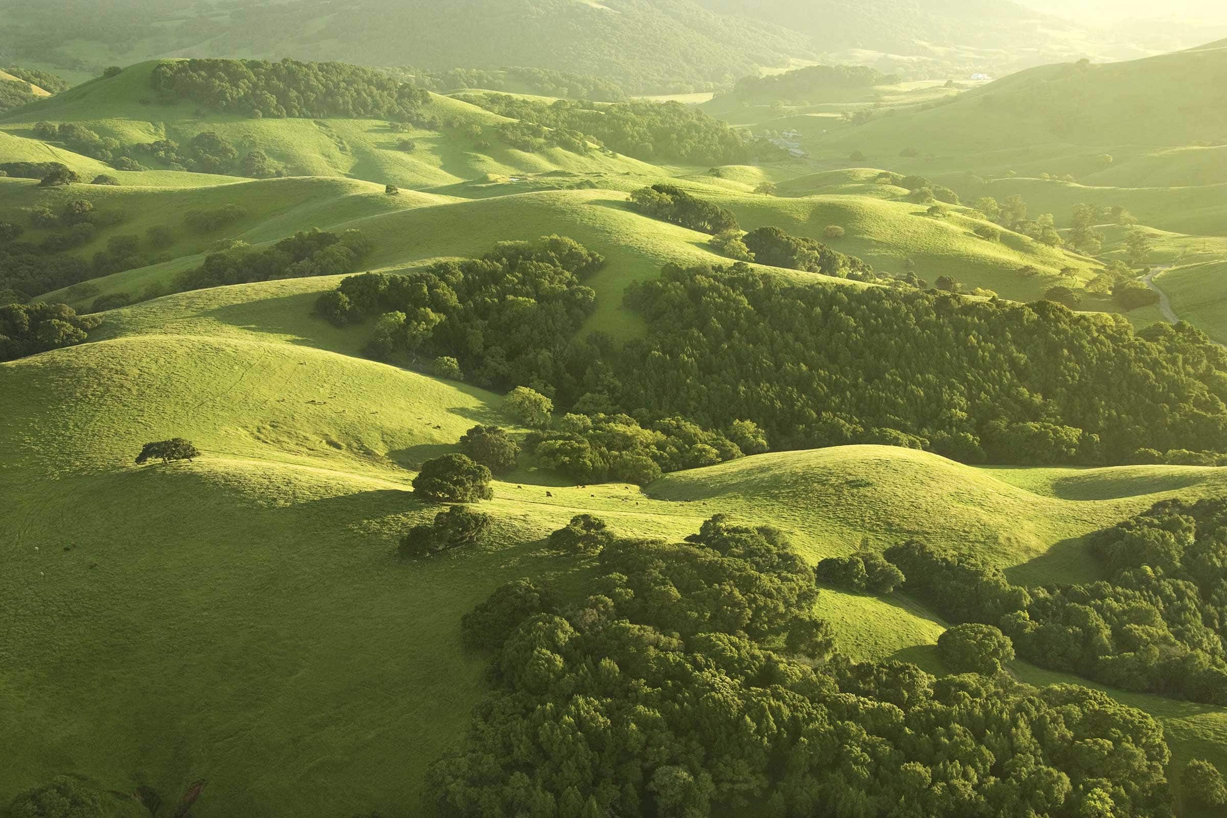 Peacefulness (April 3)