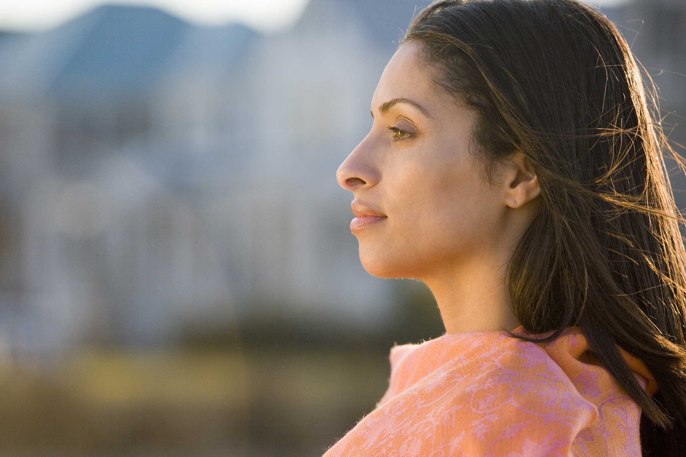 Constitution (April 6)