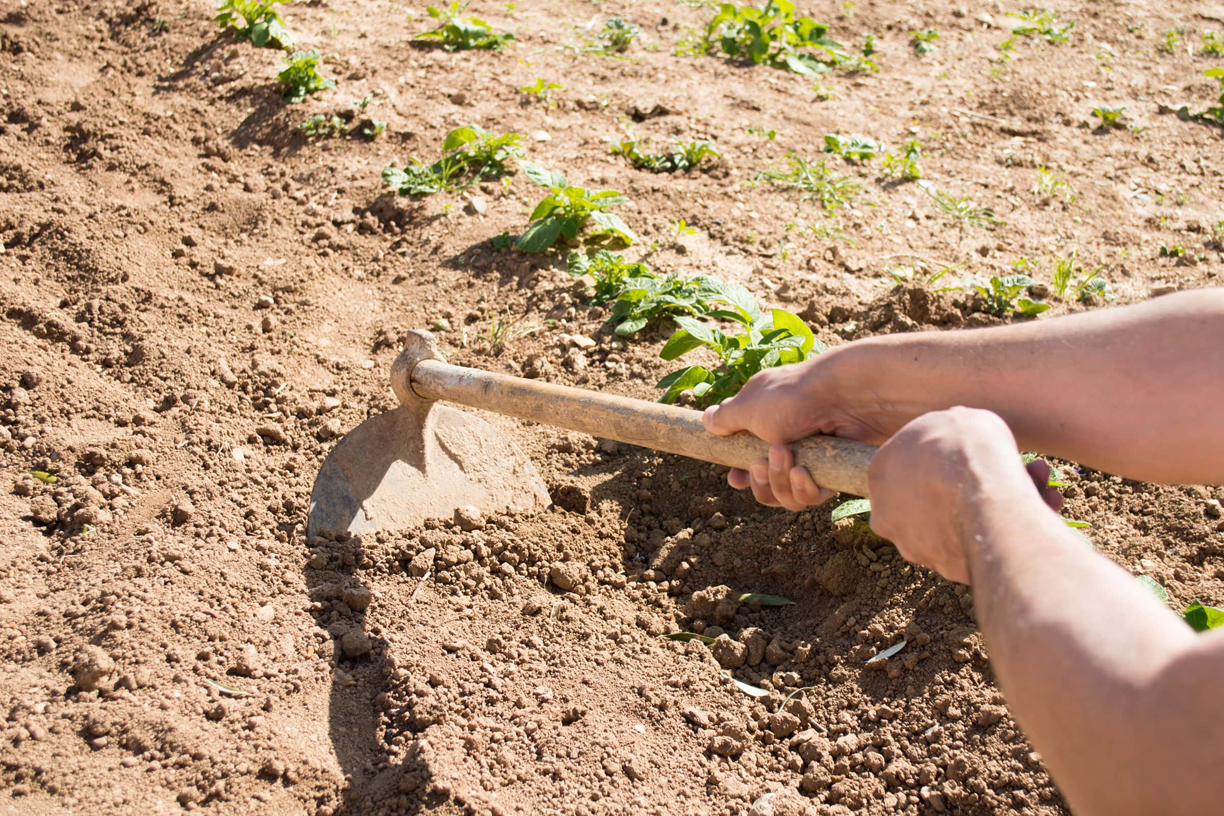 Providing (May 7)