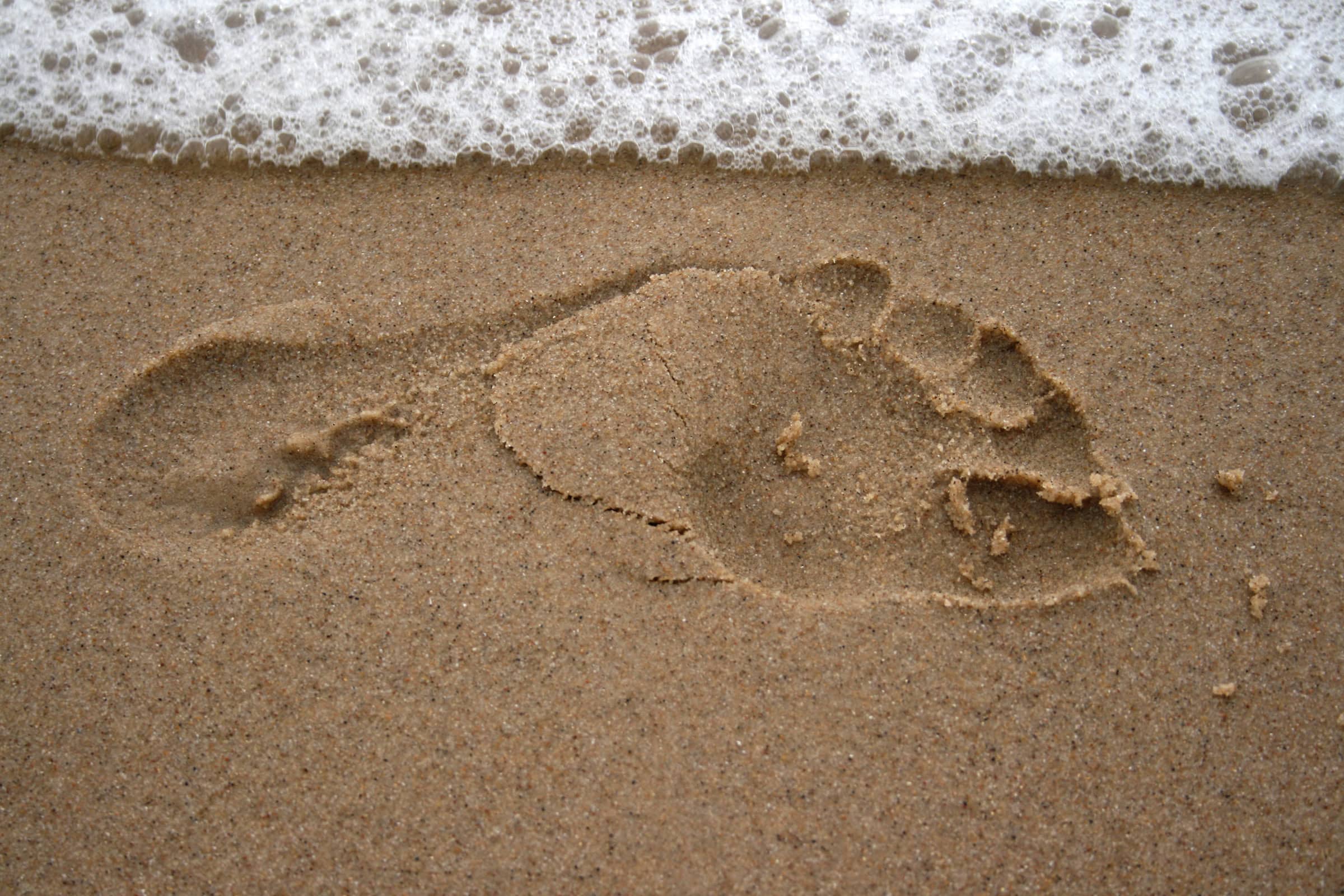 Walking with God (July 3)