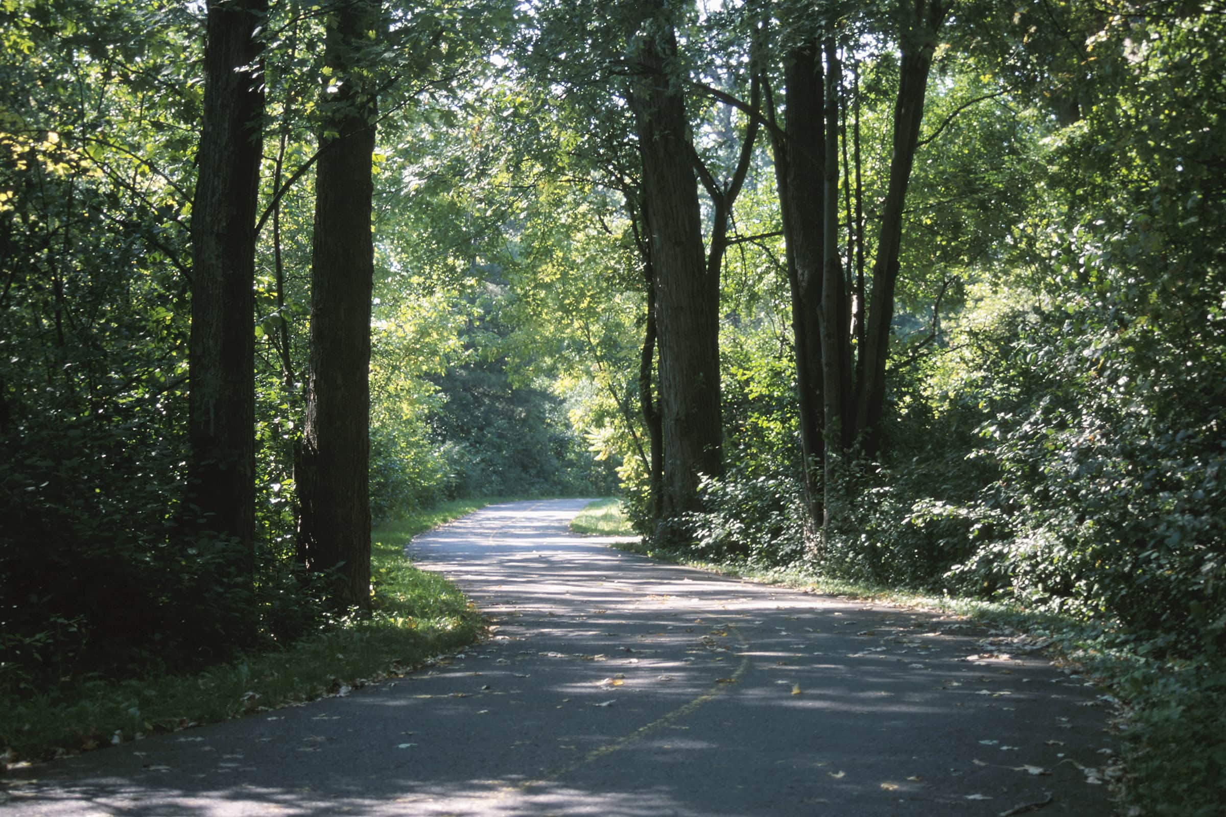 Faith, Hope, and Patience (July 28)