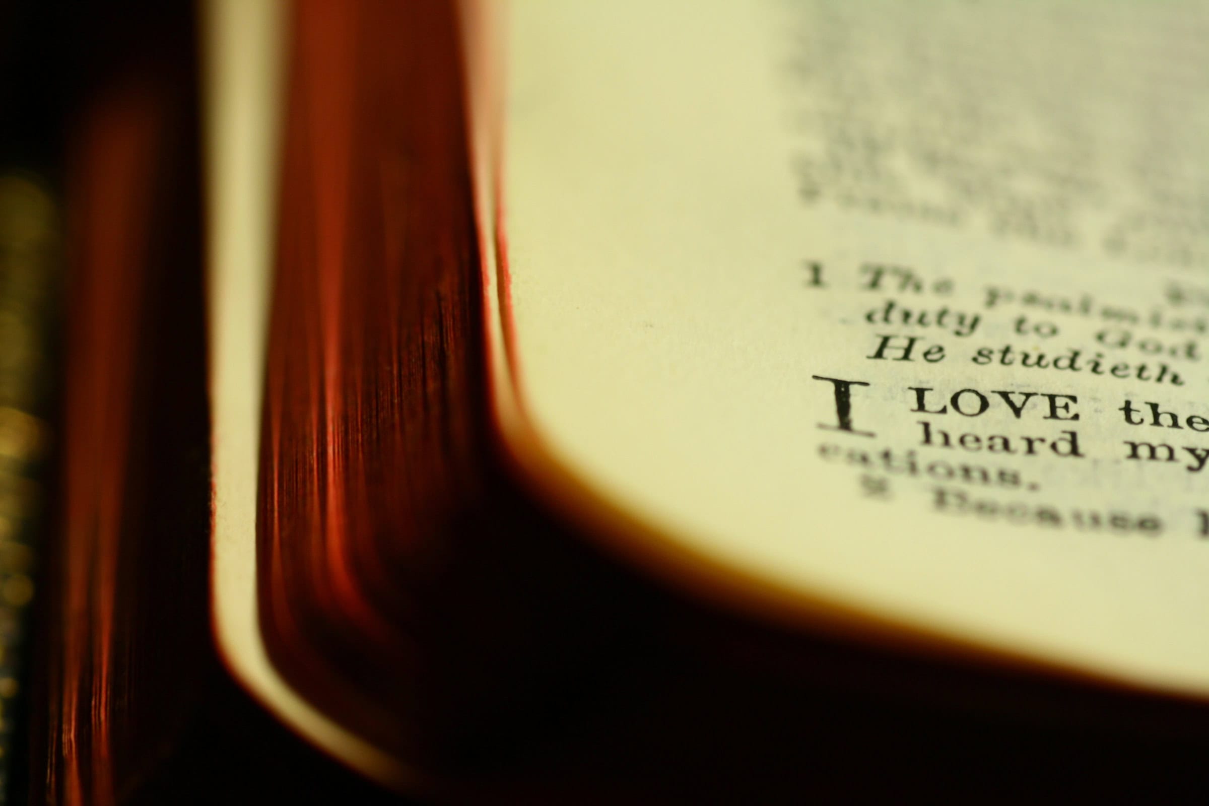 Learning to Worship God (August 19)