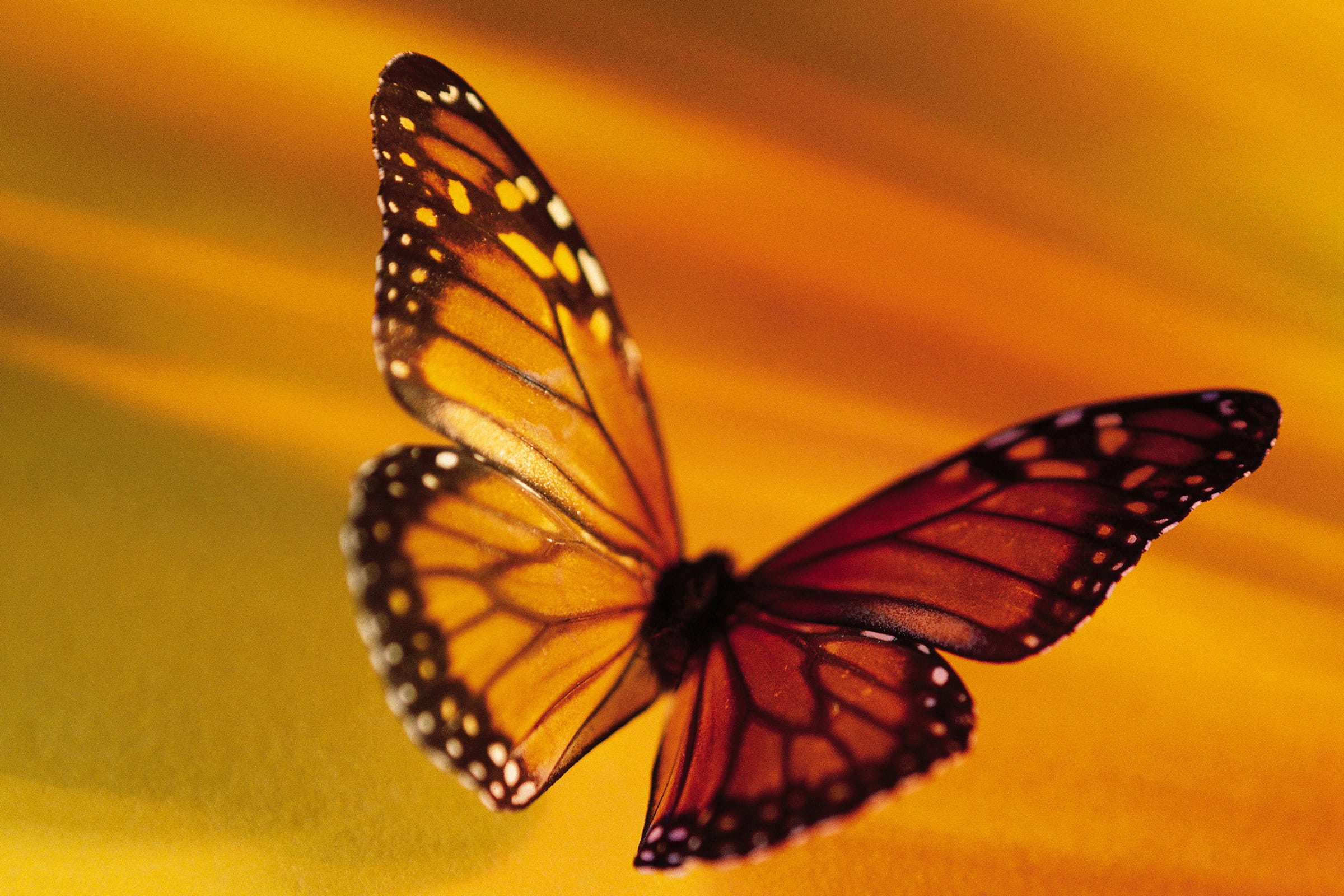 Don't Miss This Moment's Grace (September 21)