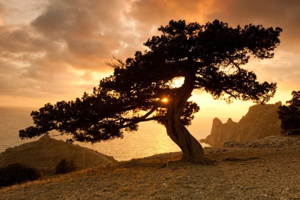 Stillness and Joy (September 23)