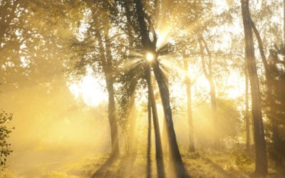 Traces of God (October 4)