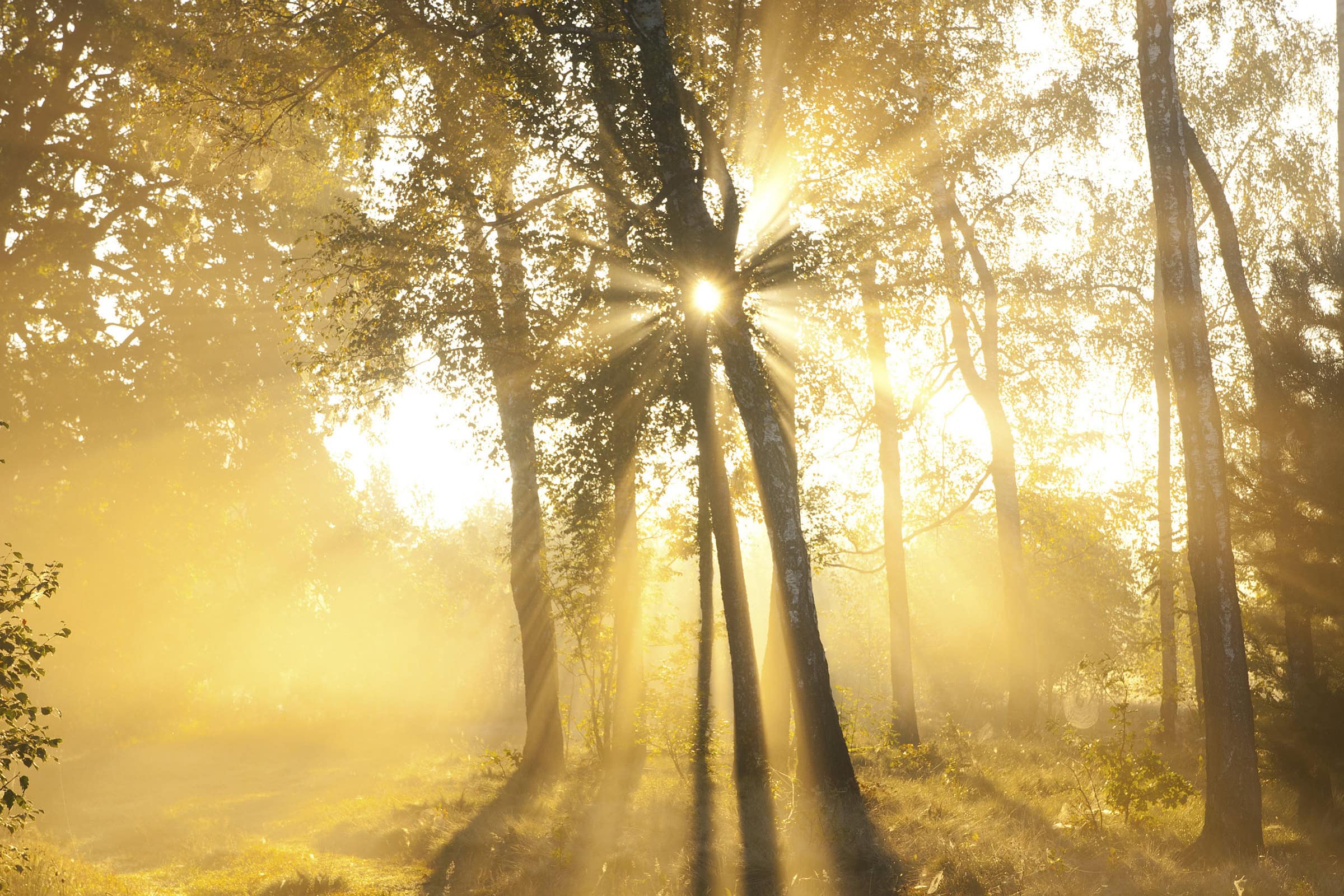 Traces of God (October 4)