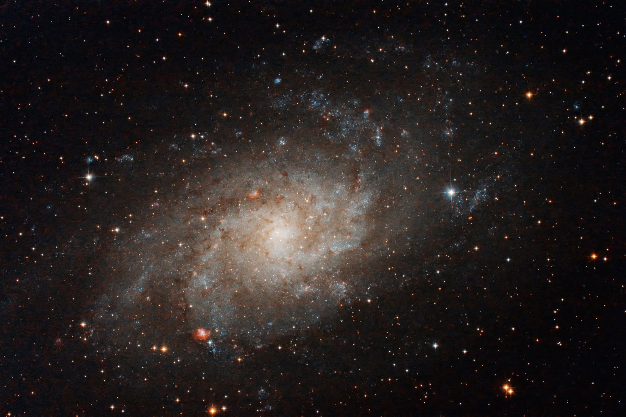 God Is Not the Same as His Creation (October 14)