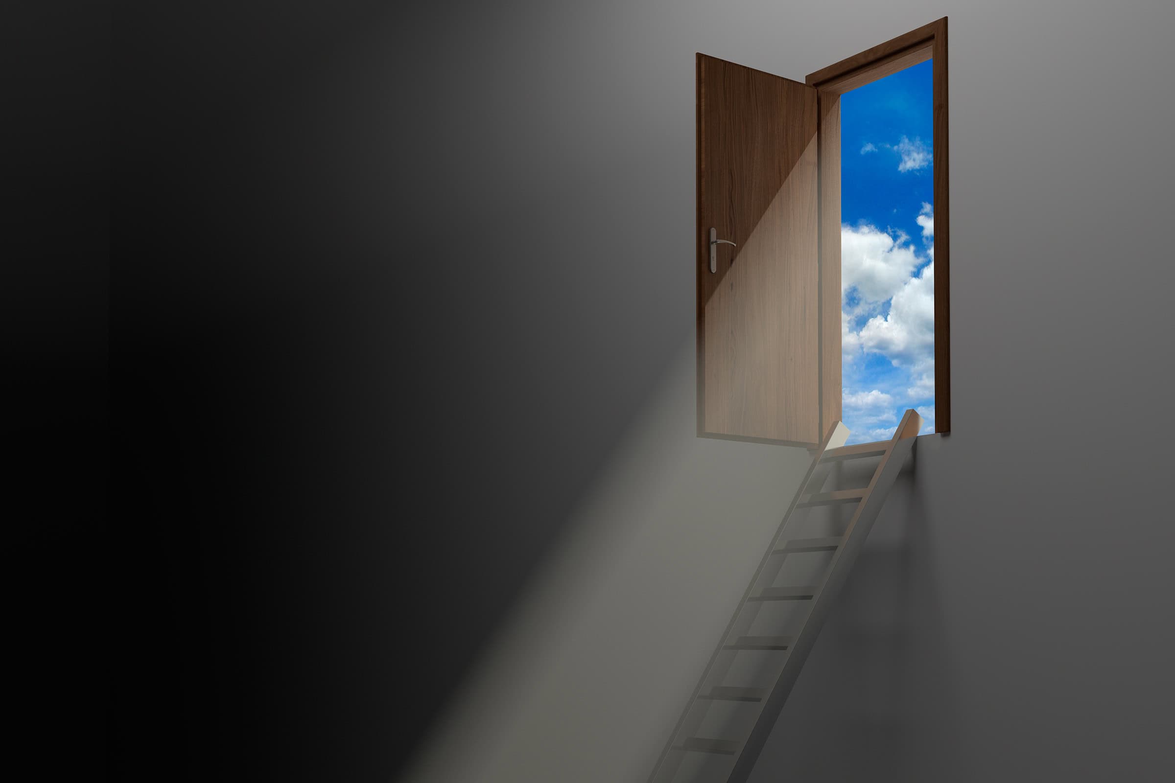 What Our Creator Has in Mind (October 15)