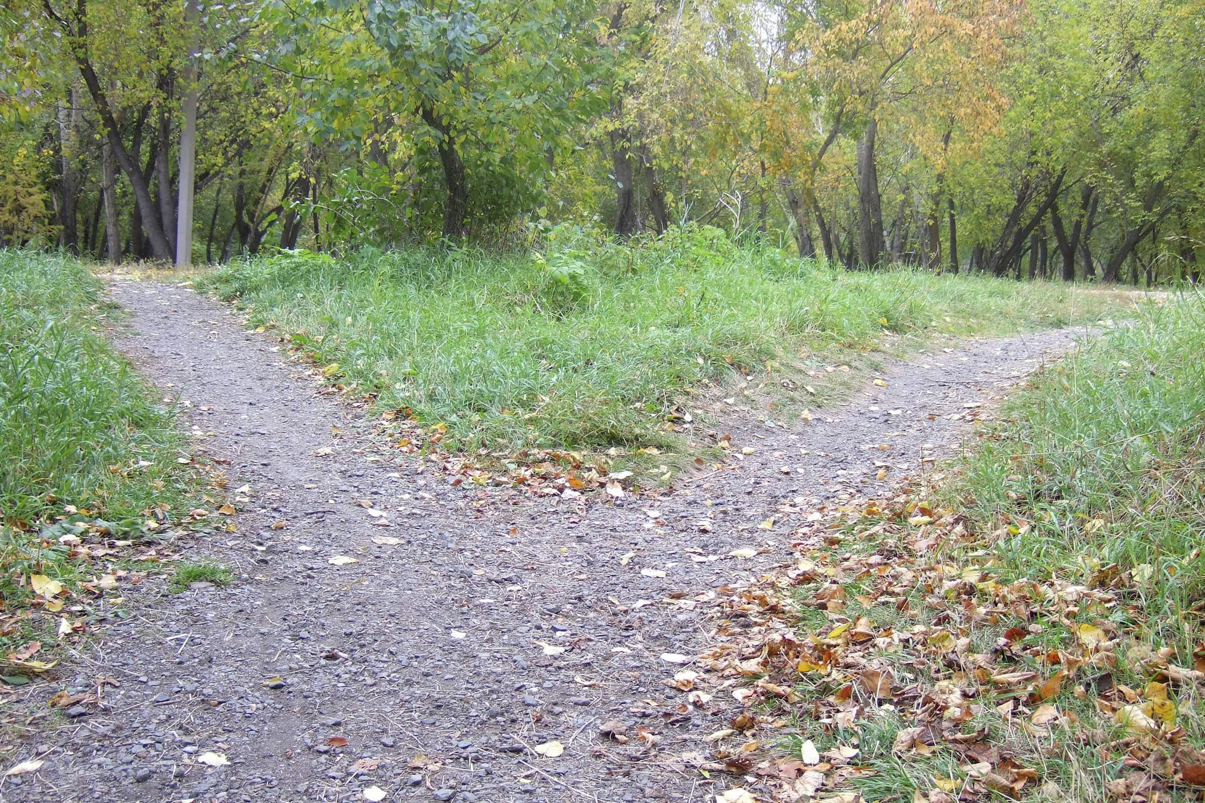 The Impossible Path Is the Most Popular (October 20)