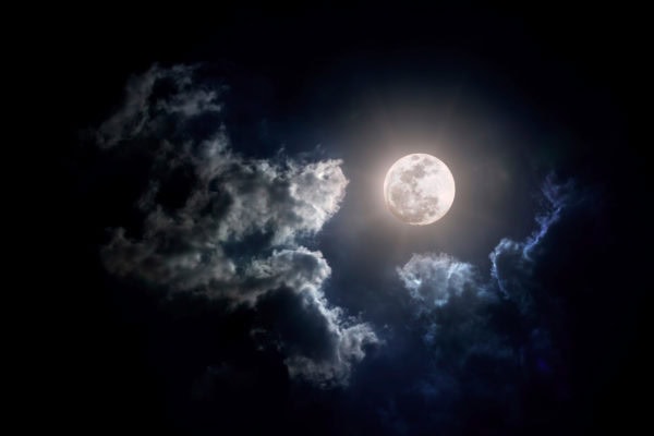 The Dead of the Night (October 22)