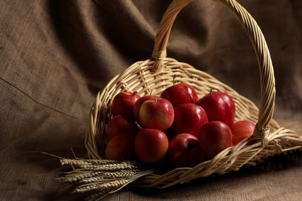Gratitude (November 22)