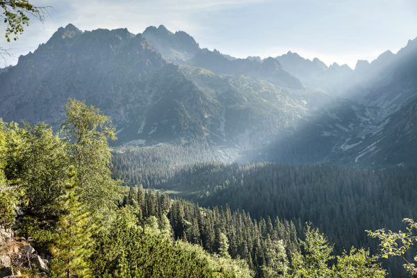 Unto the Hills! (November 24)