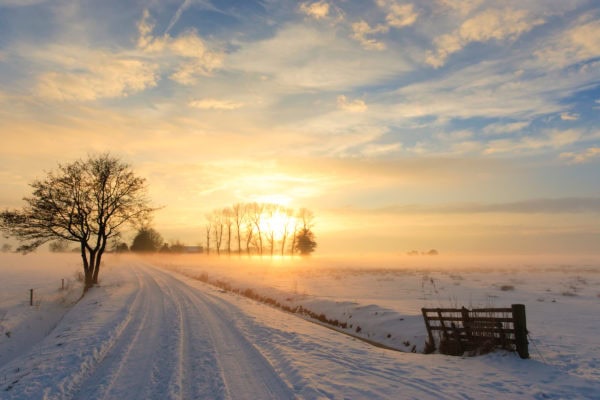 Destinations (December 31)