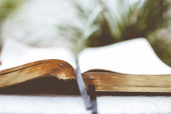 The Restoration Principle: What Is It?