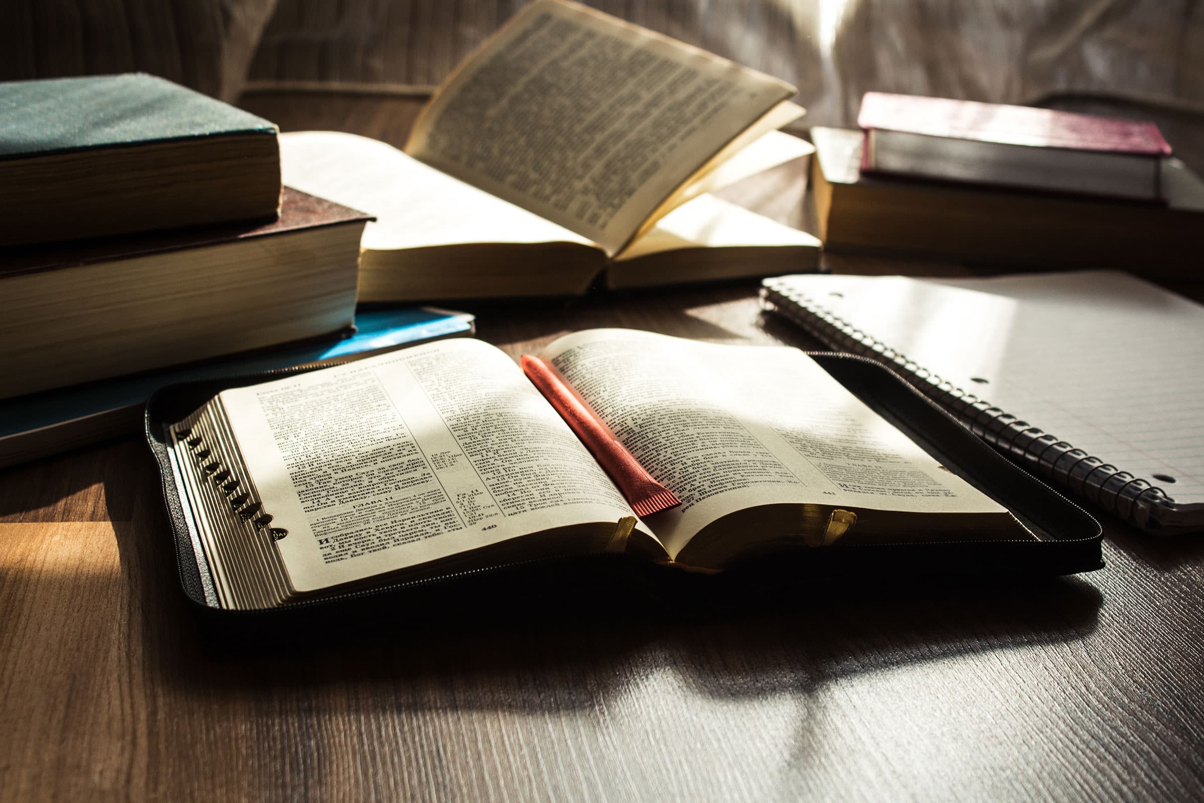 Obedience Is Not a Negative Concept (December 11)