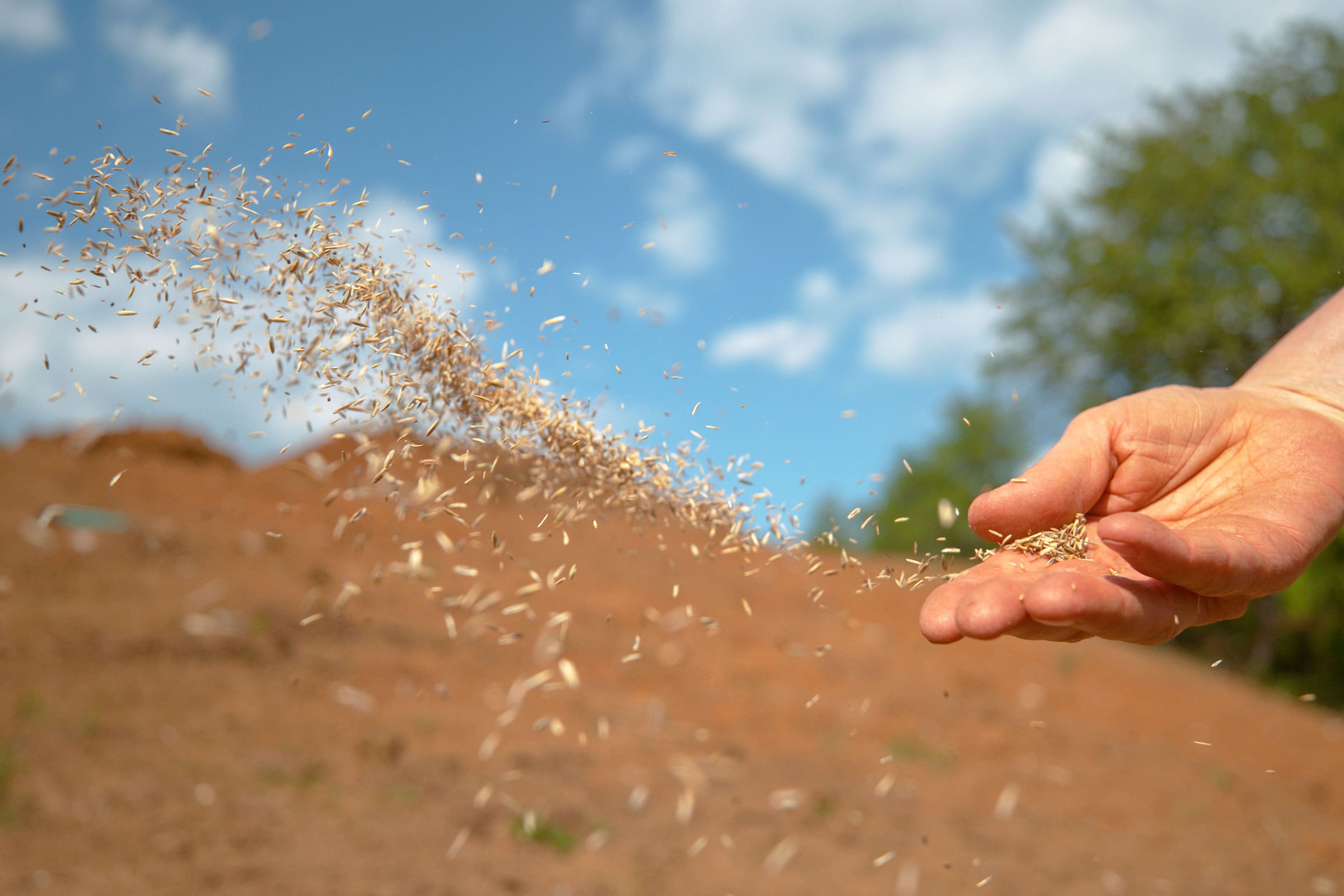 Different Soils, Different Hearers (June 16)