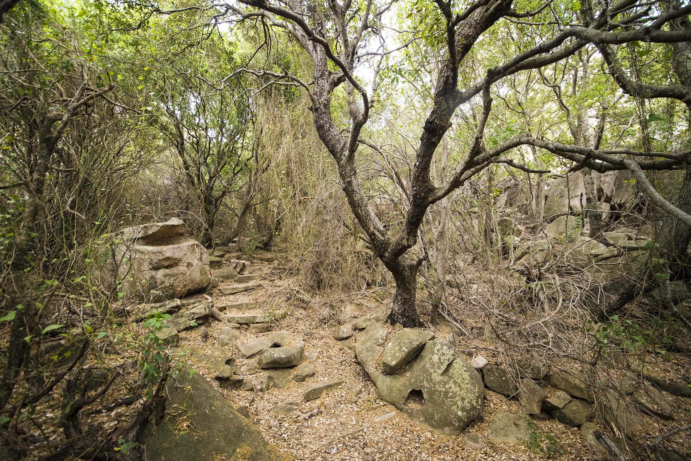 We Don’t Get to Design the Path to God (September 8)