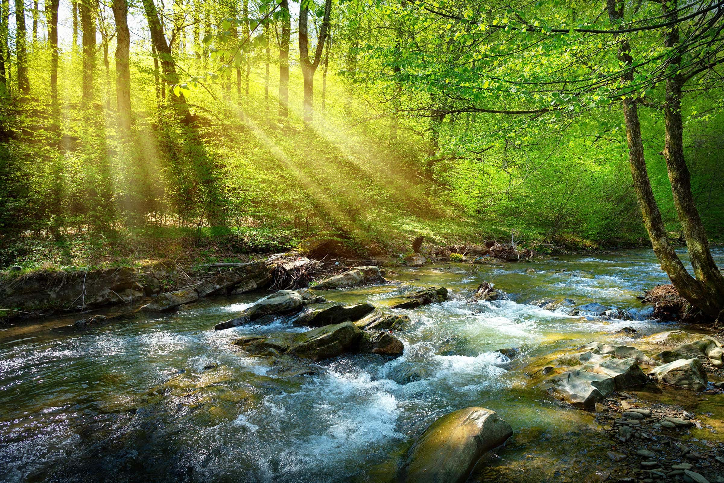 Gary Henry - Work Report - May 2025