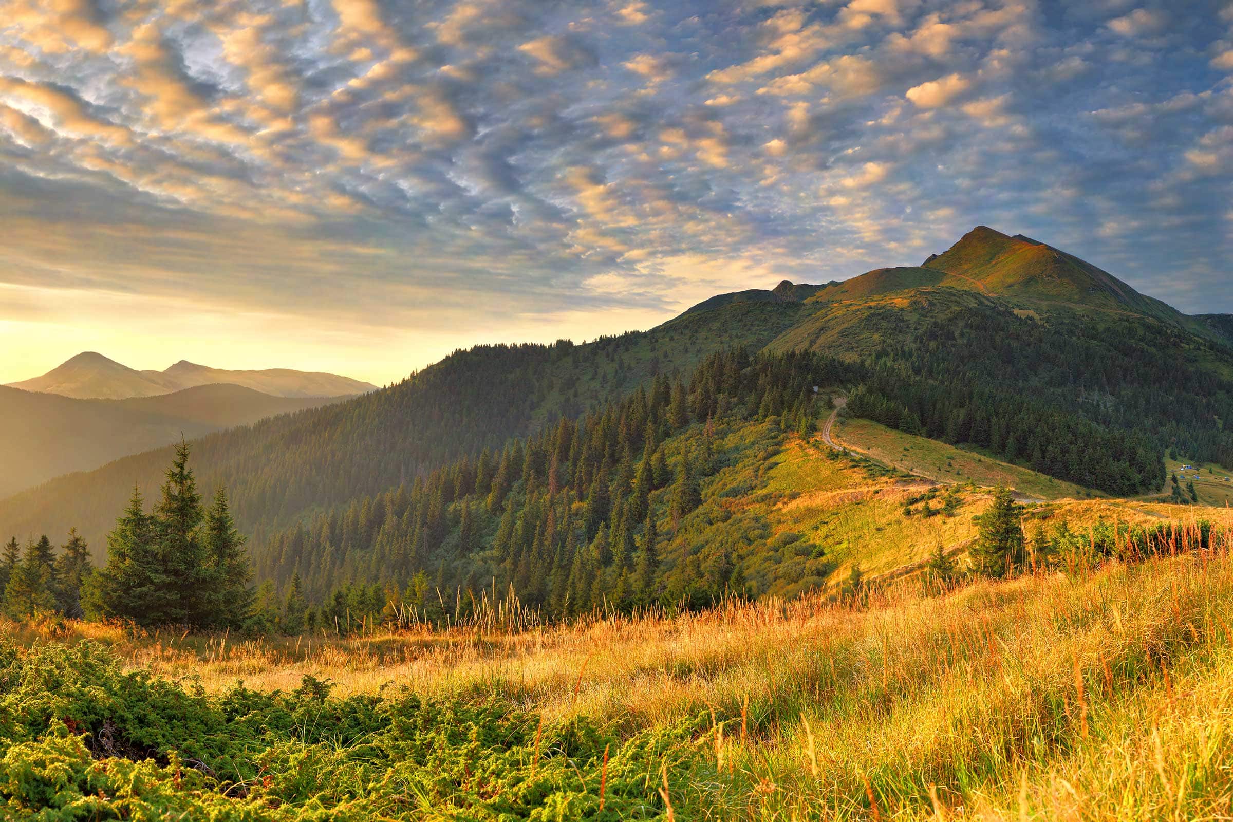 Gary Henry - Work Report - September 2025