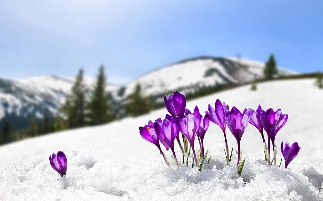 Gary Henry - Work Report - March 2026