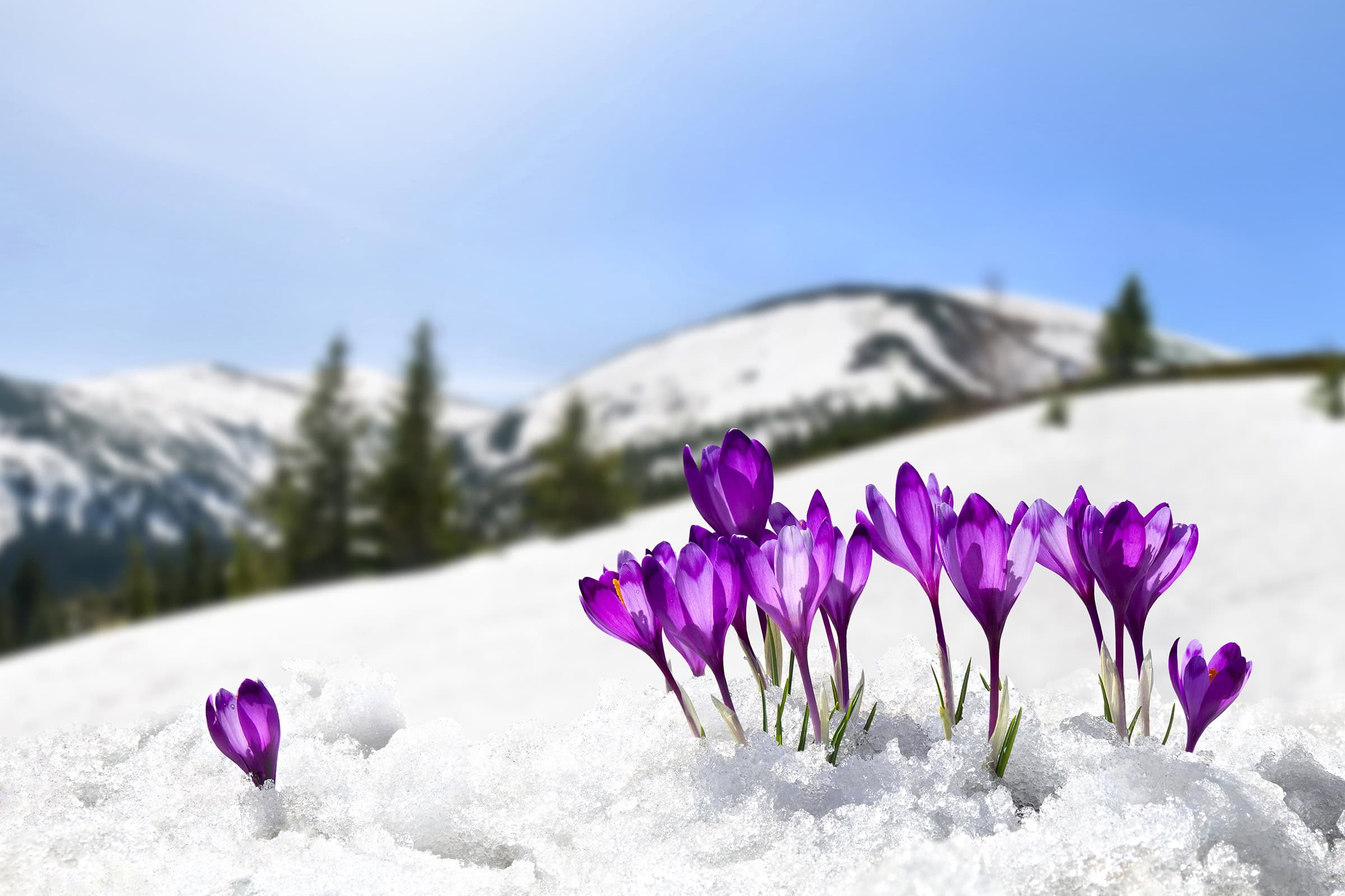 Gary Henry - Work Report - March 2026